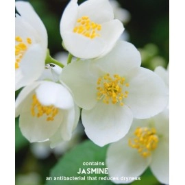 Color Fixation Restorative Shampoo Surya Nature, Inc 8.45 oz Liquid