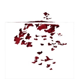 Tetra Betta, Complete Food for All Siamese Fighting Fish 100 ml, with Shrimps & Krill