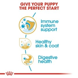 Royal Canin Golden Retriever Puppy 3kg