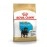 Royal Canin Rottweiler Junior Pellet Dog Food, Variety Flavor, 3 Kg,Pack of 1
