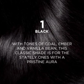 LOral Paris L\'Oreal Excellence Creme Hair Color, 1 Black, 72ml+100g