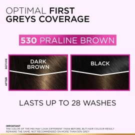 L\'Oreal Paris Casting Creme Gloss Hair Color, Praline Brown 530, 87.5g+72ml