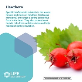 Life Extension Cardio Peak with Standardized Hawthorn and Arjuna, 120 Vegetarian Capsules