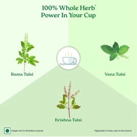 Organic India Tulsi Green Tea Classic - 25 Tea Bags