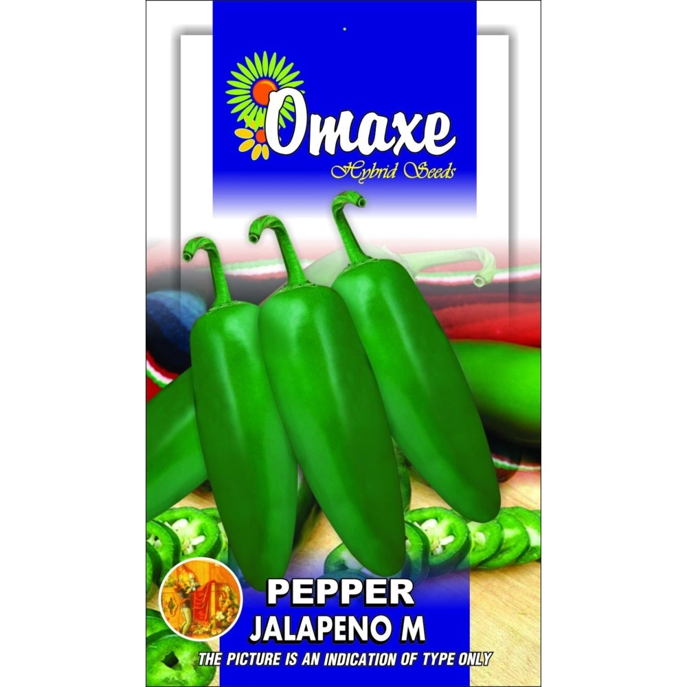 Omaxe Seeds Pepper Jalapeno, 40 Seeds (Multicolor, Pack of 3)