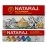 Nataraj 621 Pencil Sharpener (Pack Of 20-5 Color) Home School Office Use