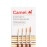 Camlin Kokuyo Paint Brush Series 66 - Round Synthetic Gold, Set of 4