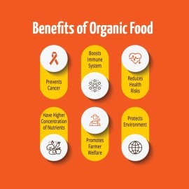 Pro Nature Organic 100% Organic Cumin (Whole) 100 Grams