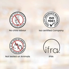 HEM Frankincense Incense 6 Packs of 20 Incense Sticks 120 Total