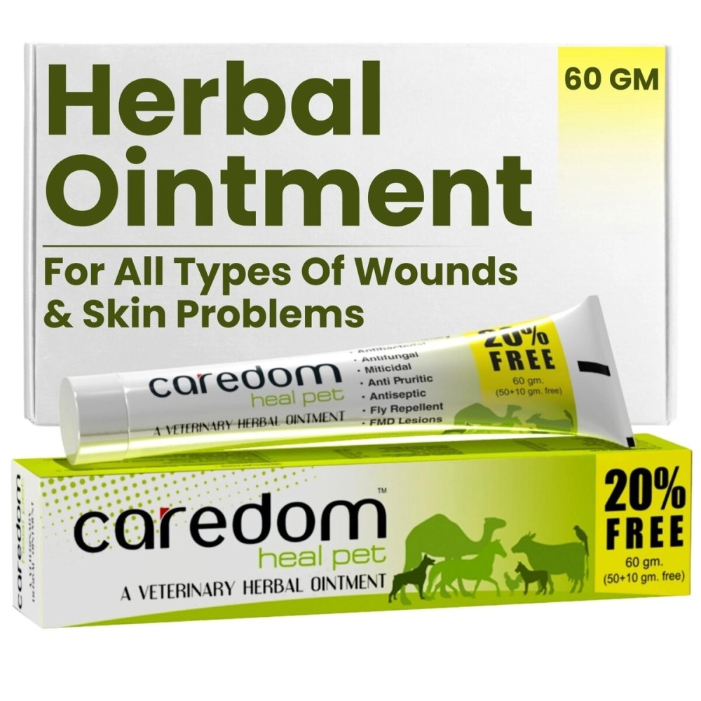 Caredom Heal Pet | Veterinary Herbal Ointment | Fungal Infection Cream for All Types of Wounds | Burns | Cuts | Skin Problems & F.M.D. Lesions - for All Pets | 60gms