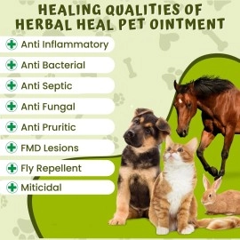 Caredom Heal Pet | Veterinary Herbal Ointment | Fungal Infection Cream for All Types of Wounds | Burns | Cuts | Skin Problems & F.M.D. Lesions - for All Pets | 60gms