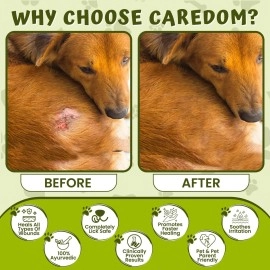 Caredom Heal Pet | Veterinary Herbal Ointment | Fungal Infection Cream for All Types of Wounds | Burns | Cuts | Skin Problems & F.M.D. Lesions - for All Pets | 60gms