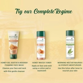 Biotique Bio Honey Gel Refreshing Foaming Face Wash 100 ml multi
