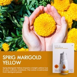 Sprig Natural Extracts for Colouring Food and Beverage, Yellow, 15 ml, 34640830