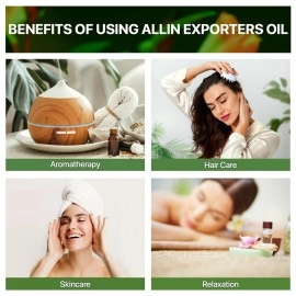 Allin Exporters St. Johns Wort Essential Oil, 15ml
