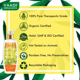 Vaadi Herbals Amla Shampoo With Shikakai And Reetha, 350 ml