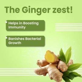 Vivaldis Endewor Natural Enzyme & Probiotic Based De-wormer for Dogs & Cats, Kills & Expels Parasites - 1X10 Tablets