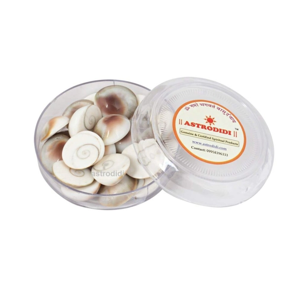 ASTRODIDI Stoneware Gomti Chakra,Gomati Chakra (Cream)