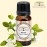All Naturals Neroli Essential Oil (Italy) Aka Orange Blossom Oil 100% Pure For Clear Face, Glowing Skin, Sound Sleep & Diffusers (15ML)