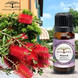 All Naturals Niaouli Essential Oil For Congestion, Colds, Clear Breathing (More Effective Than Eucalyptus) - 15ML