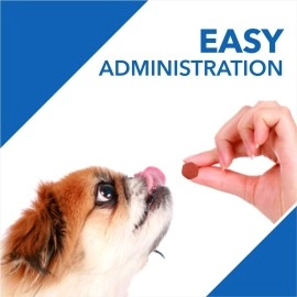 Drools Absolute Dog Supplement Tablet, Vitamin Falvour 400g 110 Pieces Jar