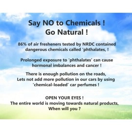 My Shaldan Lime Car and Home Air Freshener (80 g, Pack of 3)