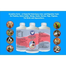 Growel Agrovet Growlive Forte - Liver Tonic for Digestion, Appetite, Better FCR, Growth and Feed Intake of Poultry,Cattle,Horses,Pigs,Goats,Sheep, Pigeons and Birds - 500 ml.