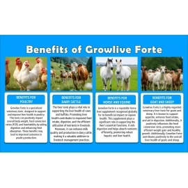 Growel Agrovet Growlive Forte - Liver Tonic for Digestion, Appetite, Better FCR, Growth and Feed Intake of Poultry,Cattle,Horses,Pigs,Goats,Sheep, Pigeons and Birds - 500 ml.