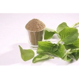 Neotea Coleus Amboinicus Indian Borage Plectranthus Amboinicus Karpooravalli Pure and Natura Powder - 300gm (10.58 OZ)