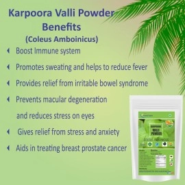 Neotea Coleus Amboinicus Indian Borage Plectranthus Amboinicus Karpooravalli Pure and Natura Powder - 300gm (10.58 OZ)