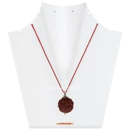 Astrodidi Rudraksha 6 Mukhi Nepali Pendant (Brown)