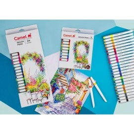 Camline Kokuyo Brush Pen (12 Shades, Multicolor)