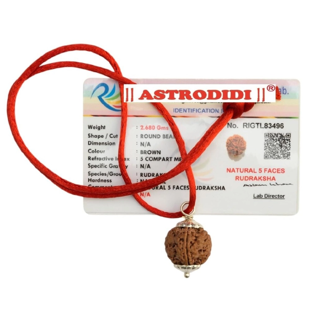 Astrodidi Rudraksha 5 Mukhi Nepali Pendant (Brown)
