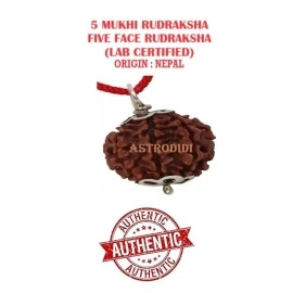 Astrodidi Rudraksha 5 Mukhi Nepali Pendant (Brown)