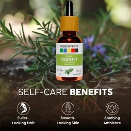 Organix Mantra Rosemary Essential Oil 15Ml, For Skin, Muscle & Joints, Hair Conditioner Pure Therapeutic Grade