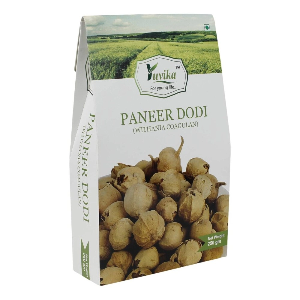 Yuvika Paneer Dodi / Paneer Ke Phool / Withania Coagulan (250 Gm)