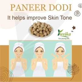 Yuvika Paneer Dodi / Paneer Ke Phool / Withania Coagulan (250 Gm)