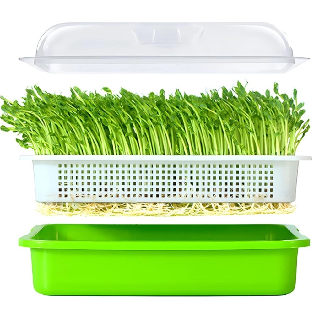 LeJoy Garden Seed Sprouter Tray BPA Free PP Soil-Free Big Capacity Healthy Wheatgrass Grower with Lid Sprouting Kit 13.4x9.84x4.72 inches,Green