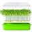 LeJoy Garden Seed Sprouter Tray BPA Free PP Soil-Free Big Capacity Healthy Wheatgrass Grower with Lid Sprouting Kit 13.4x9.84x4.72 inches,Green