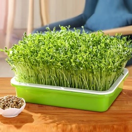 LeJoy Garden Seed Sprouter Tray BPA Free PP Soil-Free Big Capacity Healthy Wheatgrass Grower with Lid Sprouting Kit 13.4x9.84x4.72 inches,Green