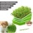 LeJoy Garden Seed Sprouter Tray BPA Free PP Soil-Free Big Capacity Healthy Wheatgrass Grower with Lid Sprouting Kit 13.4x9.84x4.72 inches,Green