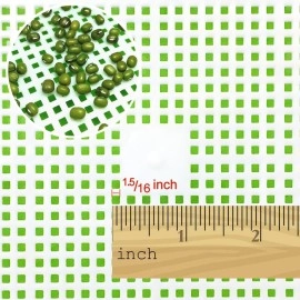 LeJoy Garden Seed Sprouter Tray BPA Free PP Soil-Free Big Capacity Healthy Wheatgrass Grower with Lid Sprouting Kit 13.4x9.84x4.72 inches,Green