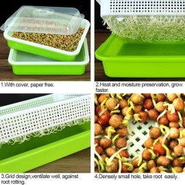LeJoy Garden Seed Sprouter Tray BPA Free PP Soil-Free Big Capacity Healthy Wheatgrass Grower with Lid Sprouting Kit 13.4x9.84x4.72 inches,Green