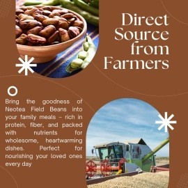 Neotea Field Beans | Hyacinth Mochai Kottai | Kadwe Vaal | Lima Double Beans | Avarebele | Pavata|Balar Dal| 100% Pure Natural|No Preservative|No Chemical|Direct Source From Farmers|Pack Of 1 500 Gram