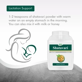 JAIN Shatavari Asparagus Racemosus Pure Powder (500g)