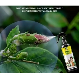 B Natural Neem oil Ready to Use 400ml Organic Cold Pressed Neem Oil Spray for Indoor and Outdoor Plants | Removes Mealybugs, Fungus and Other Pests from plants