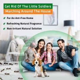 STRATEGI Herbal JustOut Ant Repellent Spray | Ant Repellent for Home | Baby-Safe, Pet-Friendly | 100% Herbal | Eco-friendly, Non-toxic (100ML)