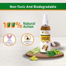 STRATEGI Herbal JustOut Ant Repellent Spray | Ant Repellent for Home | Baby-Safe, Pet-Friendly | 100% Herbal | Eco-friendly, Non-toxic (100ML)