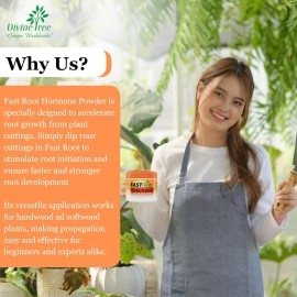 Divine Tree Fast Root Dry Powder Rooting Hormone for Plant 50 Gram