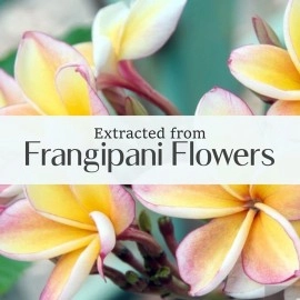 Old Tree Frangipani, Essential Oil
